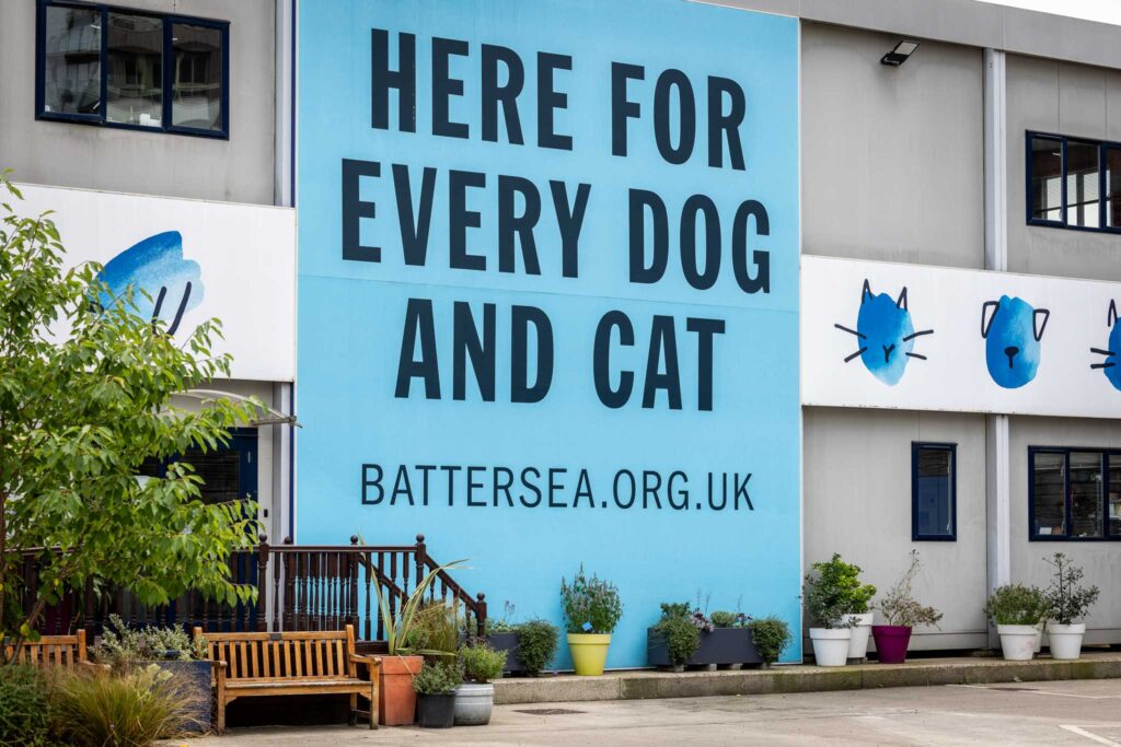 Battersea brand campaign banner photographed by Chris Whittam